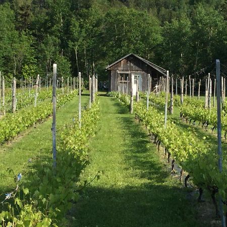 Chalet Saint-Thomas LʼAnse-Saint-Jean Esterno foto
